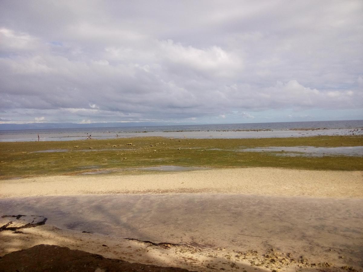 La Villa Alta Siquijor Buitenkant foto